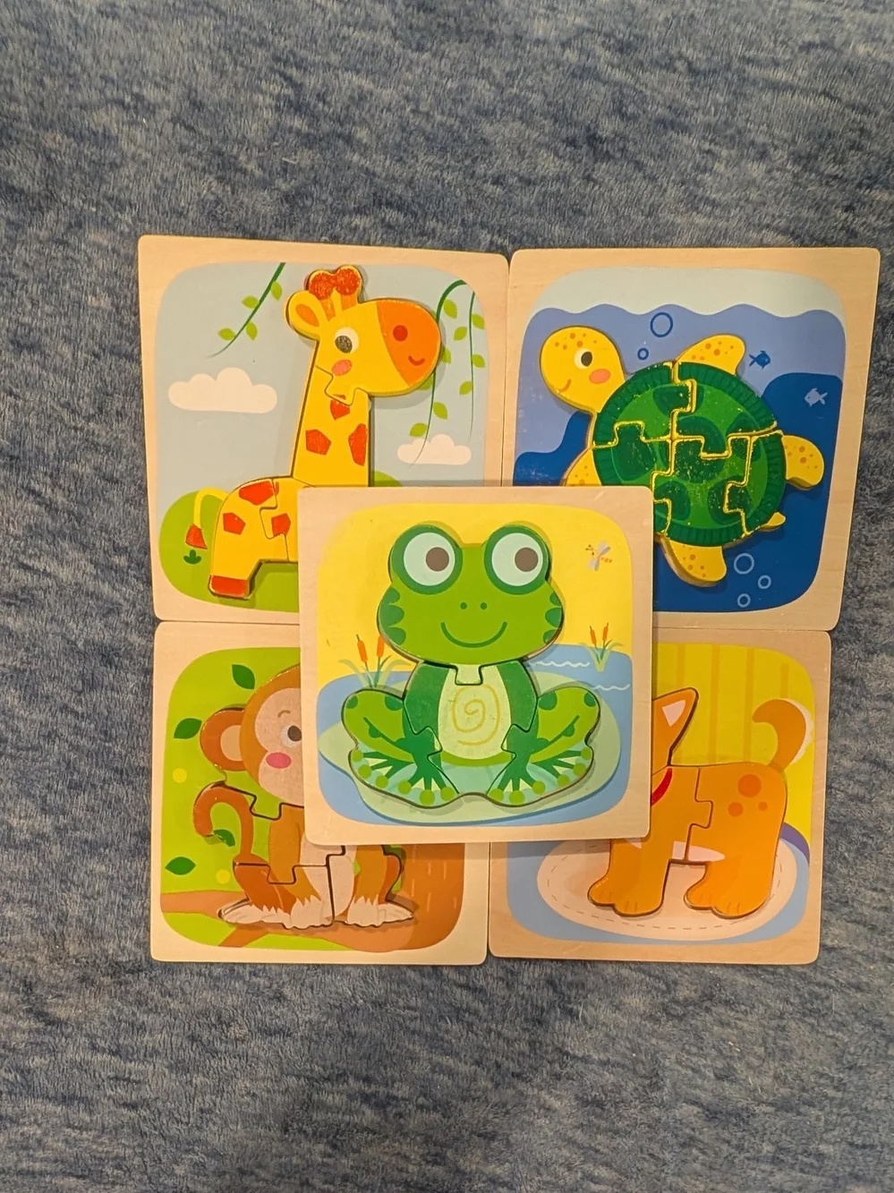 Children's Animal Puzzle Set - Raised Wood